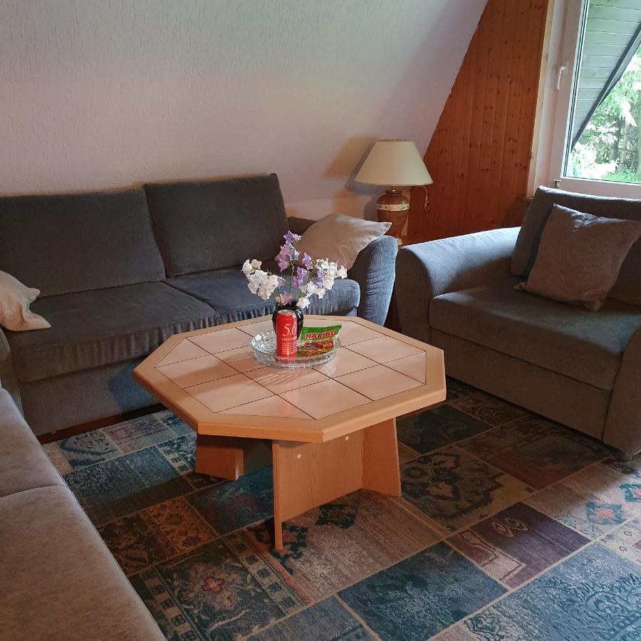 Finnhaus Neubauer Эльбингероде Экстерьер фото